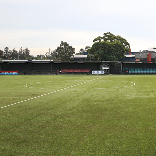  Lambert Park seating area and soccer pitch